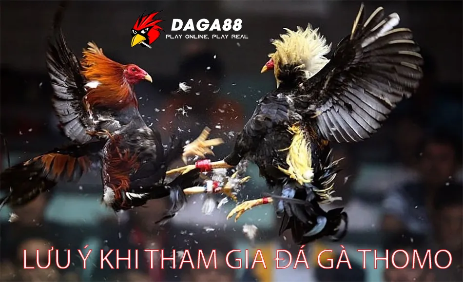 Bỏ Túi Cẩm Nang Thuật Ngữ Đá Gà Thomo - Bí Kíp Bất Bại 3 Những Lưu Ý Khi Tham Gia Đá Gà Thomo DAGA88